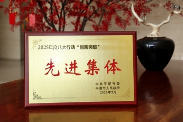 策马扬鞭启新程！景兴纸业在平湖市三级干部大会上荣获“创新突破”双项荣誉